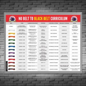 No Belt to Black Belt Curriculum