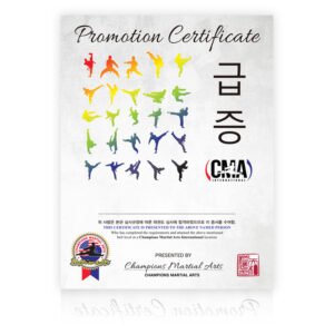 CMA Promotion Certificate
